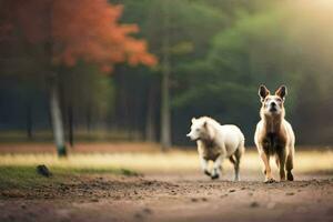 deux chiens en marchant sur une saleté route dans le les bois. généré par ai photo