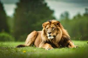 une Lion pose dans le herbe. généré par ai photo