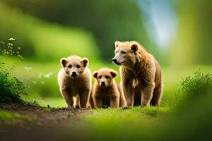 Trois marron ours en marchant le long de une chemin. généré par ai photo