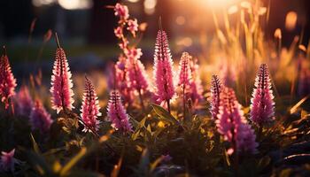 la nature beauté dans violet, vert, et rose fleurs fleur gracieusement généré par ai photo