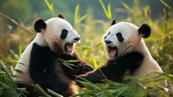 deux pandas ludique lutte dans une herbeux champ photo