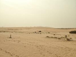 paysage de le Espagnol canari île fuerteventura avec dunes et le océan photo