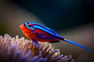 une coloré poisson avec bleu et rouge rayures. généré par ai photo