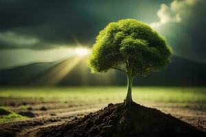 une arbre est croissance en dehors de le sol dans une champ. généré par ai photo