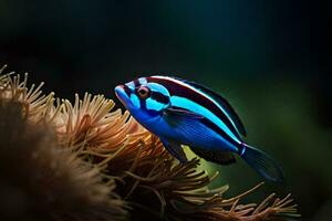 une bleu et noir poisson avec noir rayures. généré par ai photo