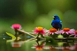 photo fond d'écran eau, fleurs, le ciel, le oiseau, le eau, le oiseau, le. généré par ai