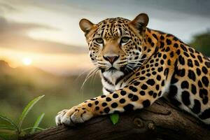 une jaguar est séance sur une arbre branche à le coucher du soleil. généré par ai photo