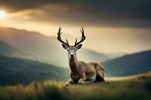 une cerf est séance sur le herbe dans de face de une Montagne. généré par ai photo