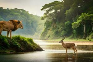 Lion et cerf dans le rivière. généré par ai photo