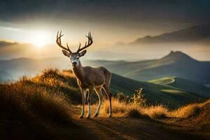 une cerf des stands sur une colline avec le Soleil réglage derrière il. généré par ai photo