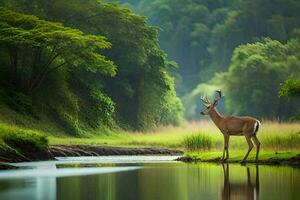 une cerf des stands dans le milieu de une rivière. généré par ai photo