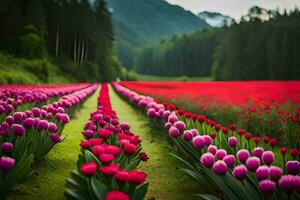 une champ de rouge et rose tulipes dans le montagnes. généré par ai photo