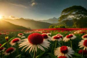 photo fond d'écran le ciel, fleurs, le soleil, montagnes, fleurs, le champ, le champ. généré par ai