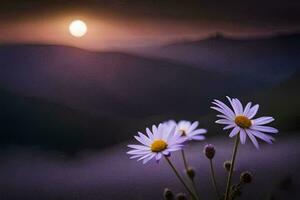 deux marguerites sont dans de face de une le coucher du soleil. généré par ai photo