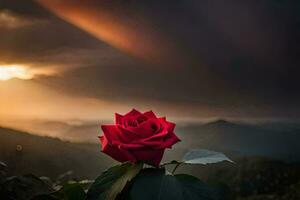 une rouge Rose dans le le coucher du soleil. généré par ai photo