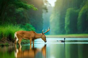 cerf en buvant l'eau dans le forêt. généré par ai photo