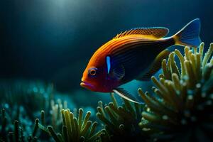 photo fond d'écran mer, poisson, le océan, le mer, le océan, le mer, le. généré par ai