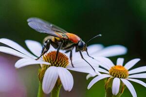 une abeille sur une fleur avec une noir et rouge diriger. généré par ai photo