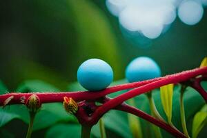 deux bleu des œufs sur une plante. généré par ai photo