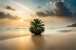 le paume arbre sur le plage à le coucher du soleil. généré par ai photo