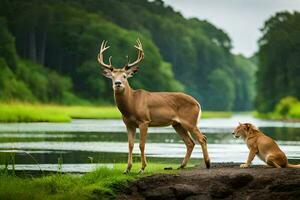 une cerf et une Lion permanent suivant à une rivière. généré par ai photo