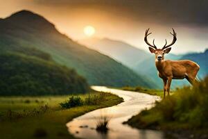 une cerf des stands dans le milieu de une champ à le coucher du soleil. généré par ai photo