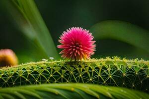 une cactus fleur est croissance sur Haut de une vert plante. généré par ai photo