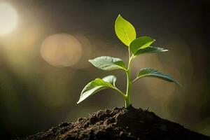 une Jeune plante pousse de le sol. généré par ai photo