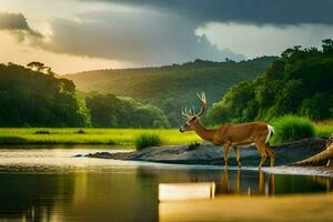 une cerf des stands dans le l'eau à le coucher du soleil. généré par ai photo