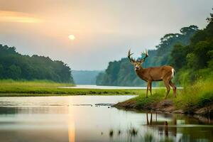 une cerf des stands sur le banque de une rivière à le coucher du soleil. généré par ai photo