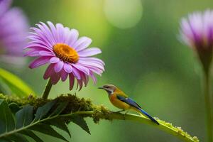 une oiseau est perché sur une fleur branche. généré par ai photo