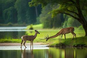 deux cerf permanent près une Lac avec des arbres. généré par ai photo