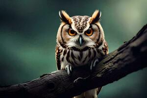 un hibou est séance sur une branche. généré par ai photo