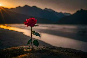 une Célibataire rouge Rose est croissance en dehors de le le sable à le coucher du soleil. généré par ai photo