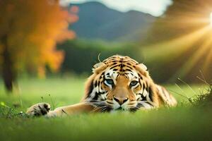 une tigre pose dans le herbe avec le Soleil brillant. généré par ai photo