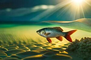 poisson sur le plage, coucher de soleil, eau, poisson, HD fond d'écran. généré par ai photo