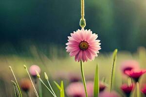 une rose fleur est pendaison de une chaîne dans une champ. généré par ai photo