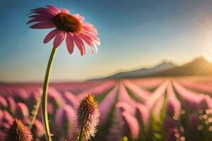 une rose fleur des stands en dehors dans le milieu de une champ. généré par ai photo