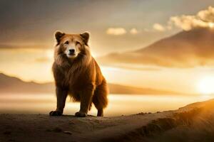 une marron ours des stands sur une colline à le coucher du soleil. généré par ai photo