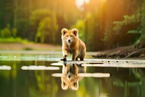 une chien en marchant à travers une Lac à le coucher du soleil. généré par ai photo