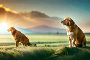 deux chiens séance dans le herbe à le coucher du soleil. généré par ai photo