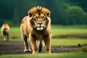 Lion en marchant sur le route. généré par ai photo