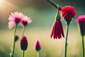 fleurs dans le Soleil. généré par ai photo