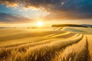 une champ de blé est montré à le coucher du soleil. généré par ai photo