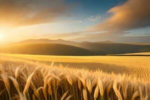 une champ de blé est montré à le coucher du soleil. généré par ai photo
