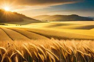 d'or blé champ à le coucher du soleil. généré par ai photo