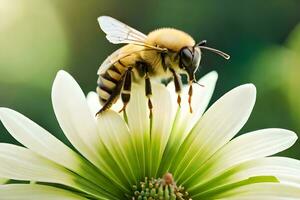 une abeille sur une blanc fleur avec vert Contexte. généré par ai photo