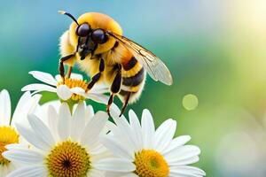 abeille sur Marguerite fleurs. généré par ai photo