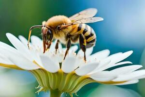 une abeille est séance sur une blanc fleur. généré par ai photo