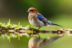 une bleu et blanc oiseau séance sur une branche. généré par ai photo